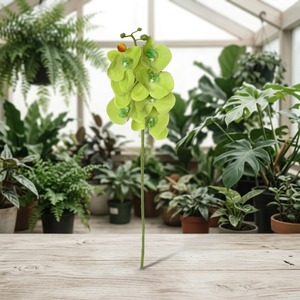Planta artificial de Monstera Deliciosa AFF Bunch -60 - Product Image 3