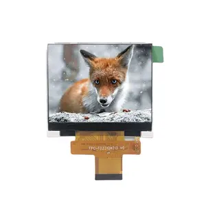 2.9 Inch Ips Tft Lcd-Scherm 2160*2160 Mpu/Spi/Rgb/Mipi/Ttl/Cpu Interface Touch Digitale Aangepaste Paneel Machine Industriële Speler