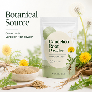 Adult Dandelion Root Powder-Antioxidant Immune Support & Digestive Health Supplement 1-2 Spoons Daily 454g - Product Image 5