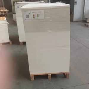 กระดาษเคลือบ PE สีขาวชั้นเดียวสำหรับทำถ้วยกระดาษ ราคาโรงงานเกรดอาหาร รับผลิตตามสั่ง - Product Image 6