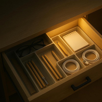 Ensemble de 2 lampes LED rechargeables à détecteur de mouvement, 100LM pour armoire, tiroir, escalier, batterie 1000mAh, garantie 1 an