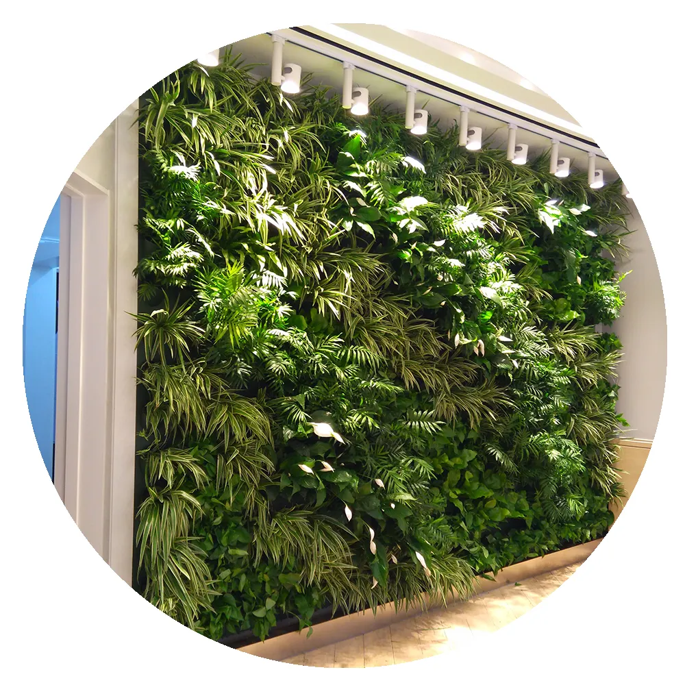 Potes de auto-rega para plantador vertical de parede, jardim verde