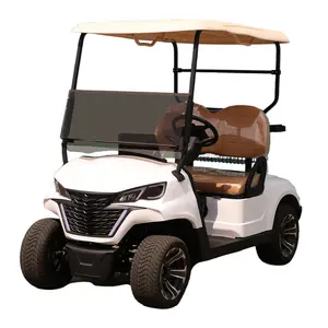 EG kustom Cina grosir Terbaik klub mobil dudukan 2 impor kereta golf kereta listrik baterai lithium kereta golf untuk dijual