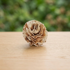 Eco-Friendly White Sola Wood Flowers Dried <b>Reed</b> <b>Diffuser</b> 8cm Environmental Friendly Wedding Party Indoor Home Decor Weddings - Product Image 2