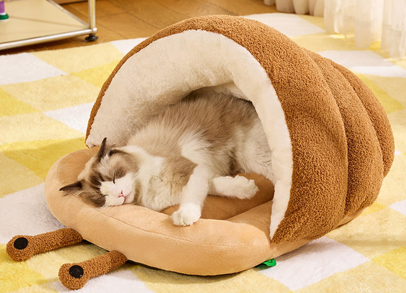 สีน้ำตาล