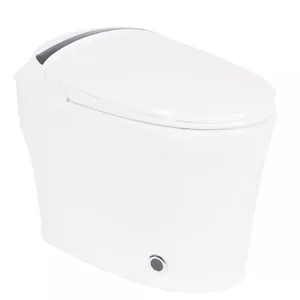Norme européenne chine piédestal sanitaire wc intelligent toilettes intelligentes prix