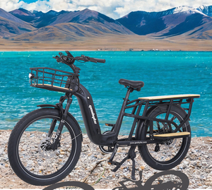 Vélo cargo électrique 48V 250W en aluminium 24 pouces, batterie lithium 48V 15AH, longue autonomie, pneus anti-crevaison, ligne réfléchissante, 7 vitesses - Product Image 5