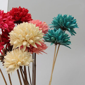 Huahuan Vente en gros personnalisée, fleurs de magnolia séchées conservées populaires sur INS, fleurs de coquille de noix pour la décoration de la maison, de la réception de mariage, des plantes - Product Image 1