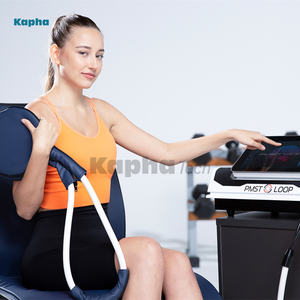 Nouvelles Machines Pemf Equine PMST LOOP PRO MAX Pemf Dispositif de thérapie par champ électromagnétique pulsé pour l'homme et le cheval - Product Image 3