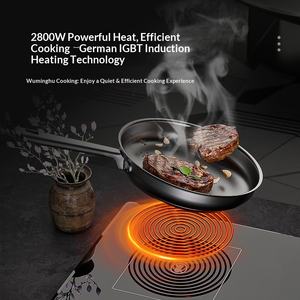 Estufa de Gas de Doble Propósito Lemed Eléctrica con Placa de Inducción Integrada, Alemania - Product Image 5