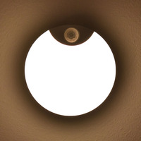 Lampes LED sans fil à détecteur de mouvement à luminosité réglable, fonctionnant sur piles, lampe de nuit pour chambre à coucher, armoire