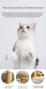 Ethan Green <span class=keywords><strong>Arbre</strong></span> à chat de style japonais, colonne haute, en bois massif, avec nid intégré, structure stable et robuste - Product Image 5