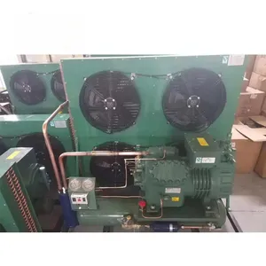Sıcak satış otomatik soğutma ünitesi R134 soğutuculu konteyner kompresör kondenser ünitesi Bitzer soğuk depolama odası fabrikaları için
