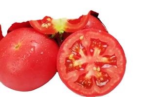 メーカー高品質有機天然トマト粉末脱水トマト抽出 - Product Image 3