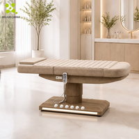 En gros, Lit de beauté électrique pour spa, Table de massage, Lit pour soins du visage et extensions de cils, Chaise de salon, pour salon de beauté, tatouage, extension de cils, SPA, avec LED et en bois