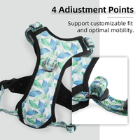 Ensemble de harnais pour chien en néoprène réfléchissant avec collier, laisse et écharpe, haute visibilité pour la marche nocturne, polyester/nylon, maille respirante