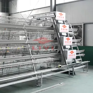Poultry farm laying hen chicken egg layer cages