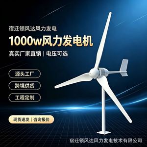 Aerogenerador de Eje Horizontal Leading Wind de 1000W, Reforzado con Fibra de Vidrio, para Uso Doméstico Pequeño - Product Image 2