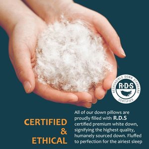 Chăn Gối Nhồi Lông Ngỗng Trắng Có Thể Giặt Được Giá Rẻ Bán Buôn - Product Image 2