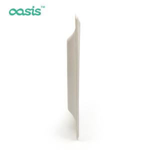 6 Inch Nước Nóng Mạnh Mẽ Mía Bã Mía Phân Hủy Sinh Học Dùng Một Lần Giấy Tấm Thân Thiện Với Môi Tấm Vuông Số Lượng Lớn Cho Đám Cưới - Product Image 4