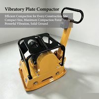 Nouvel Arrivage Compacteur Vibratoire Électrique 4000W avec Embrayage Centrifuge, Fréquence de Vibration 48Hz, Haute Efficacité, Manuel