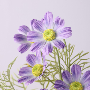 Bouquet di nozze Galsang <span class=keywords><strong>margherita</strong></span> all'ingrosso soggiorno decorazioni Decorative all'aperto fiori di nozze - Product Image 3