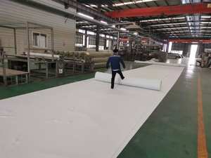 Zhi Jia Nouveau Géotextile Composite Nid d'Abeille en HDPE Haute Résistance et Durabilité pour Barrages Industriels Extérieurs et Décharges, Livraison Rapide - Product Image 6