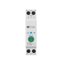 Interrupteur intelligent WIFI, disjoncteur 63A 1P, mesure de la puissance, surveillance, minuterie, relais pour maison intelligente, télécommande sans fil