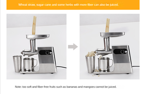 Commercial multifonctionnel électrique herbe de blé canne à sucre fruits légumes herbe de blé presse-agrumes <span class=keywords><strong>pièces</strong></span> de rechange - Product Image 3