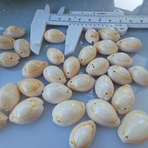 Großhandel Kauri Muschel Muscheln Eins Zwei Löcher Strand Natur schalen Handwerk Schmuck Herstellung Polierte DIY Zubehör Dekoration - Product Image 5