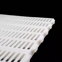 Nouveau revêtement de sol en plastique pour l'élevage, plancher à lattes en PP pour chèvres, moutons, volailles et apiculture