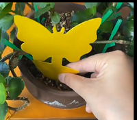 Piège à mouches des fruits collant jaune, tue-moucherons et attrape-insectes pour plantes d'intérieur et d'extérieur