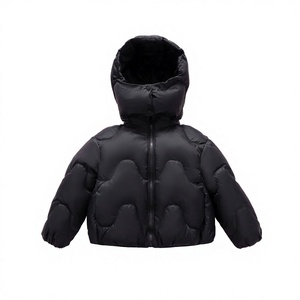 Veste courte à capuche pour garçons et filles Pinghu Chixin, 90% neuve, style hiver, norme nationale, motif ondulé, couleur unie, chaude - Product Image 1