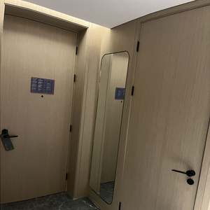 Puerta Interior Moderna sin Marco, de Madera y Plástico, Insonorizada, para Entrada de Apartamentos y Dormitorios - Product Image 5