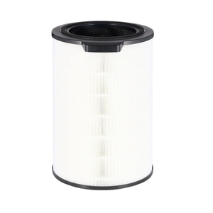 Filtro di Ricambio Compatibile con Purificatori d'<span class=keywords><strong>Aria</strong></span> <span class=keywords><strong>BOSCH</strong></span> Air 6000 6000i, Pre-filtro, Filtro a Carbone Attivo, Strato HEPA - Product Image 1