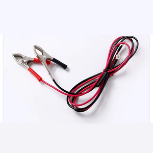 <span class=keywords><strong>GCA</strong></span> Chargeur redresseur en silicone Entrée manuelle Sortie AC DC 12-48V Chargeur de batterie de voiture Bobine en laiton - Product Image 1