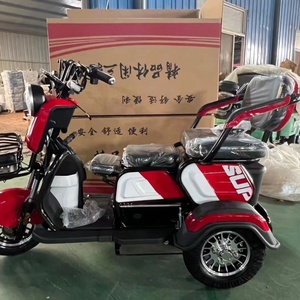 Tricycle Électrique Motorisé à Trois Roues 800W 60V pour Passagers, Type Carrosserie Ouverte, pour Personnes Âgées, Capacité 200kg - Product Image 4