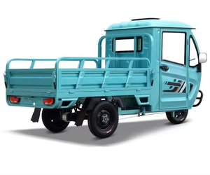 Tricycle à trois roues de haute qualité 1000w populaire en Europe et en Amérique pour adultes - Product Image 5