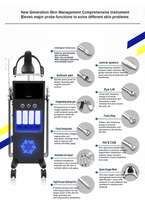 Nouvelle Machine Portable 11-en-1 d'Oxygénation et de Thérapie Oxygène, Dôme Facial, Peeling Jet, Hydra Beauté, Aspiration Plastique - Product Image 2