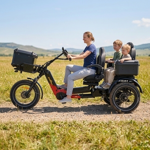 Triciclo Eléctrico Abierto de 3 Ruedas, 2500w, Motor Dual, 48V, 152AH, 7 Velocidades, con Batería de Iones de Litio para Largo Alcance de 500km, Disponible en la UE en 2026 - Product Image 2