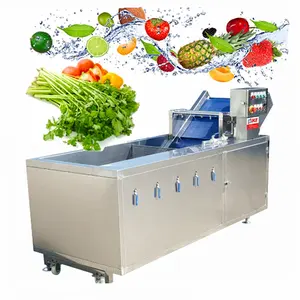 Fruit vegetable washing drying machine line bubble fruit and vegetable washing machine