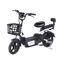Scooter de cyclomoteur électrique deux places 48v Street Legal avec vélo électrique à moteur 1500W