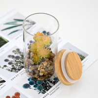 Vente en gros de plantes succulentes artificielles de 11 cm dans un terrarium en verre pour les centres de table de mariage, les cadeaux de fête et la décoration de bureau à domicile