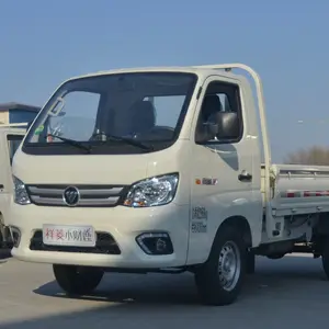 2024 Новый мини-грузовик Howo Foton 4x2 4x4 3 тонны 5 тонн