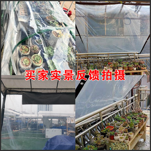 865 Transparent PE Tarpaulin 0.12mm Thick Waterproof Outdoor Rainproof Cloth for Greenhouse Use - Product Image 2