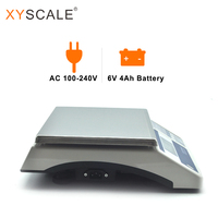 16kg 0.1g Weighing Scale Digital Large Capacity Weighing Counting Scale Rs232 Industry Scale With Printer