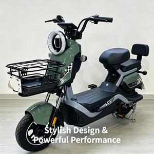 Bicicleta Eléctrica al por Mayor de Dos Ruedas, Batería de Plomo-Ácido de 48V, Motor sin Escobillas de 1000W, Pantalla Digital, Alcance de 50km, para Adultos - Product Image 1
