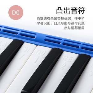 Feifan Melodica – Instrument de musique portable à 32 touches avec sac souple en toile pour étudiants et utilisation en classe - Product Image 2