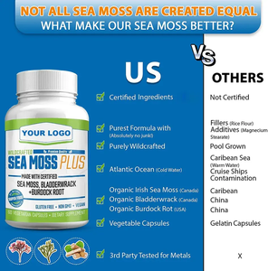 Capsules de mousse de mer biologique OEM/ODM, capsules d'extrait de mousse de mer irlandaise végétaliennes pour la santé immunitaire et des articulations - Product Image 3