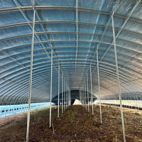 Kit de Construcción de Estructuras de Acero Prefabricadas, Estructuras Modulares de Acero, Establos para Ganado, Talleres, Refugios, Diseño de Techo Ventilado